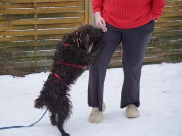 Clio möchte Vertrauen fassen