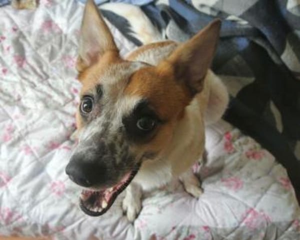 Wer verliebt sich in ANOUK?