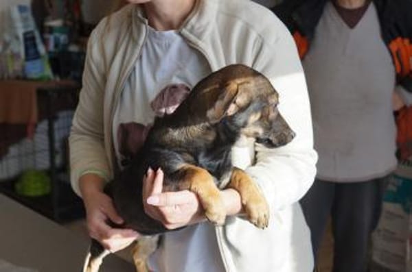 Yumi° 86529 Schrobenhausen