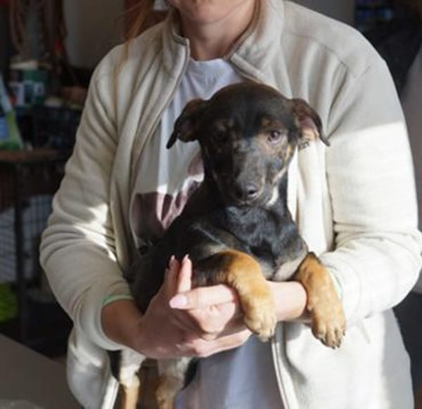 Yumi° 86529 Schrobenhausen