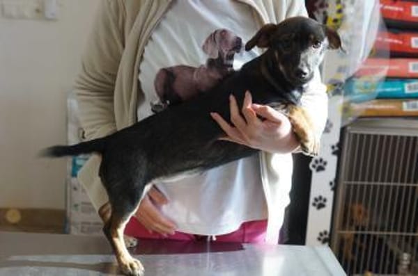 Yumi° 86529 Schrobenhausen