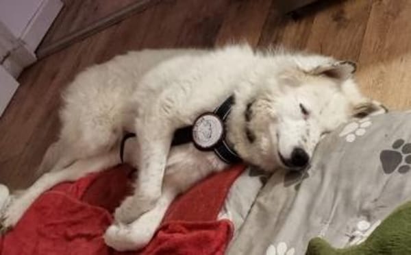 Christine-sanfte Seele m Sommersprossen