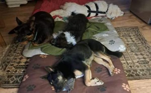 Christine-sanfte Seele m Sommersprossen