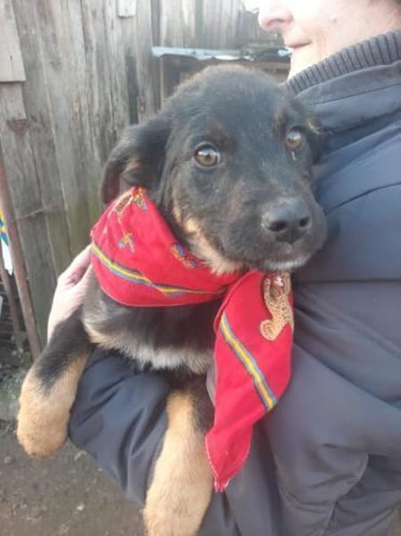 Zuckersüße Polly wartet auf ihre Familie