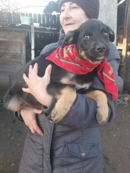 Zuckersüße Polly wartet auf ihre Familie