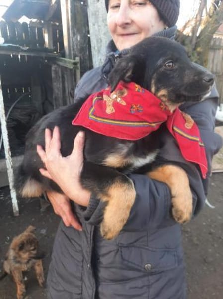 Zuckersüße Polly wartet auf ihre Familie