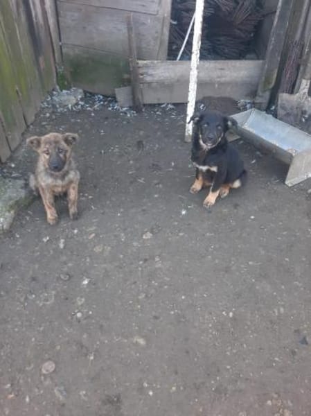 Zuckersüße Polly wartet auf ihre Familie