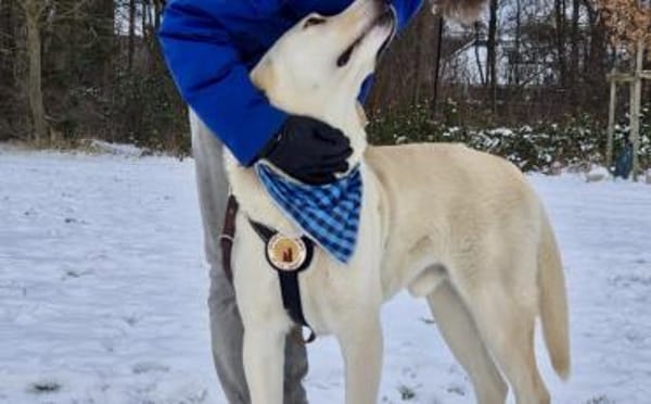 Gandalf - ein neuer Teil deiner Familie?