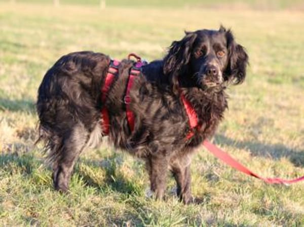 Geben Sie Maya Hoffnung?