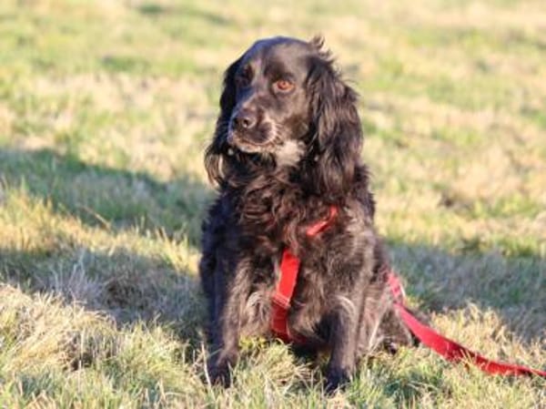 Geben Sie Maya Hoffnung?