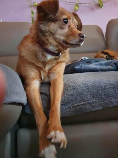 Isa - hat ein ruhiges Wesen