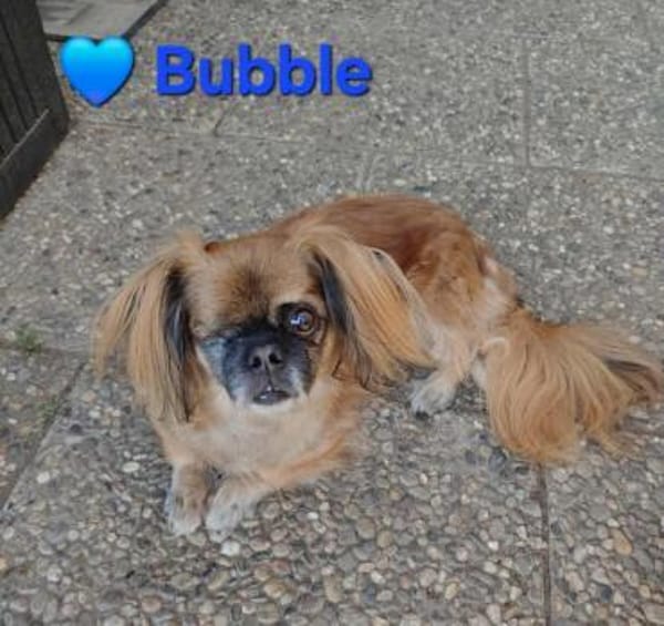 Isa - hat ein ruhiges Wesen