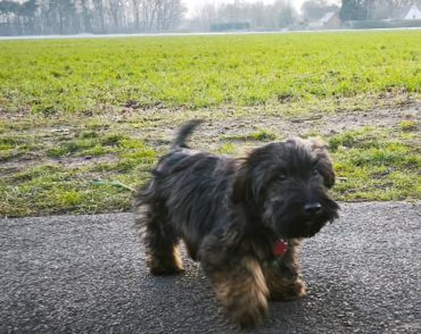Fritz  Kleiner Teddybär wartet auf dich
