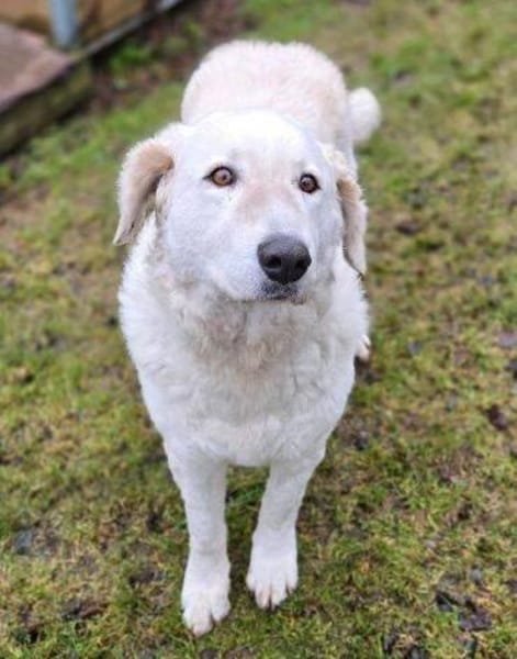 ZUZA braucht ein Zuhause