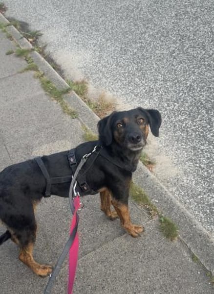 Rea sucht ihre Menschen