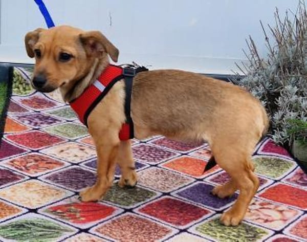 Zauberhafte Kloè in 56220 Bassenheim