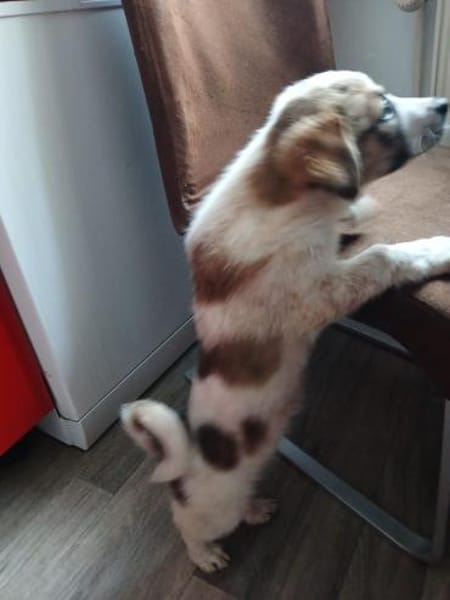 Süße Skyla❤ sucht liebevolle Familie