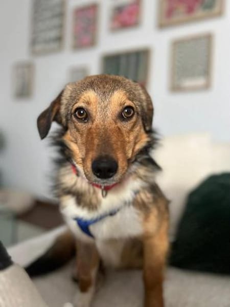 Haily - sucht geduldige Herzensmenschen