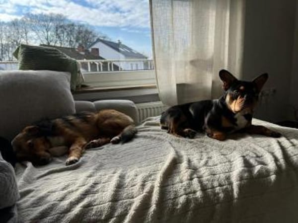 Haily - sucht geduldige Herzensmenschen