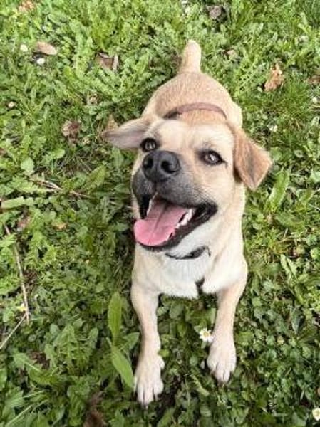 Wer verliebt sich in den süßen Simba?