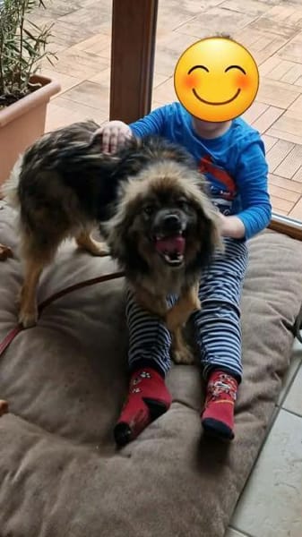 Bucky - ein liebenswerter Bub