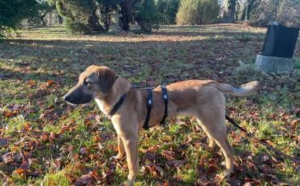 Lolly wartet schon auf dich