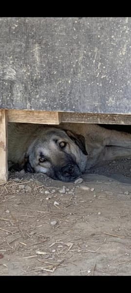 Aman (Fikret) wartet schon lange