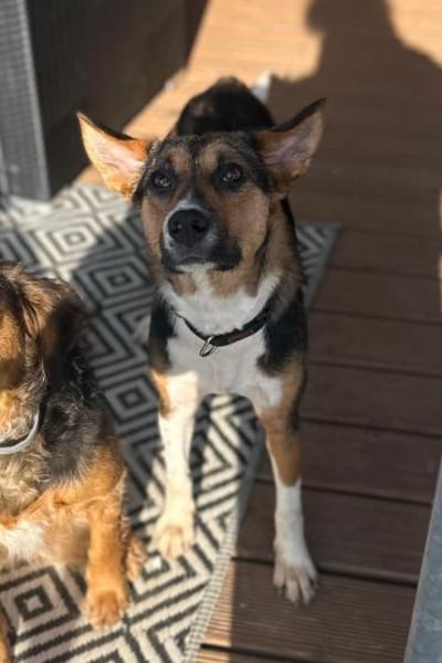 Rixa möchte endlich ankommen