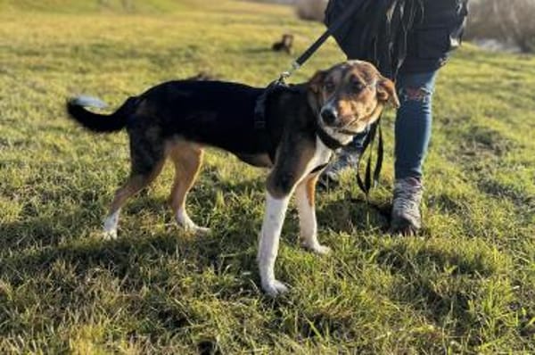 Rixa möchte endlich ankommen