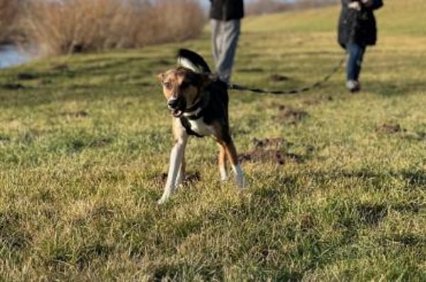 Rixa möchte endlich ankommen