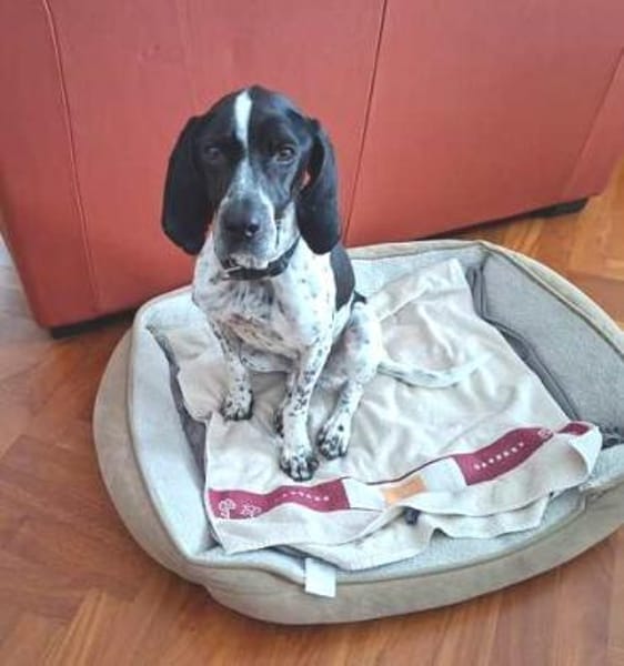 Max 12 -freundlich, teilw.noch unsicher-