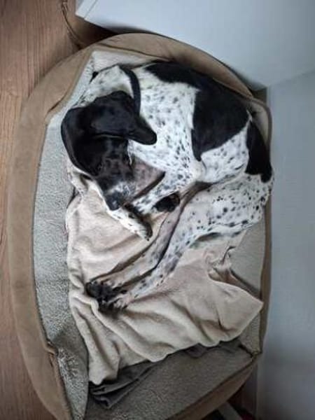 Max 12 -freundlich, teilw.noch unsicher-