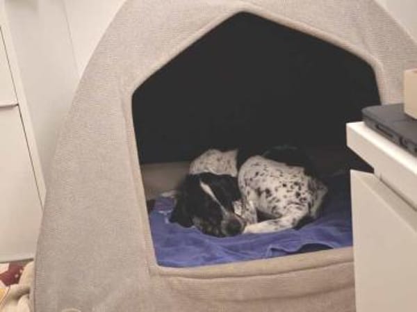 Max 12 -freundlich, teilw.noch unsicher-