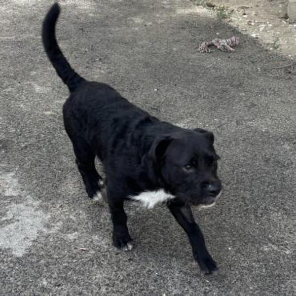 COCO - SUCHT ZUHAUSE