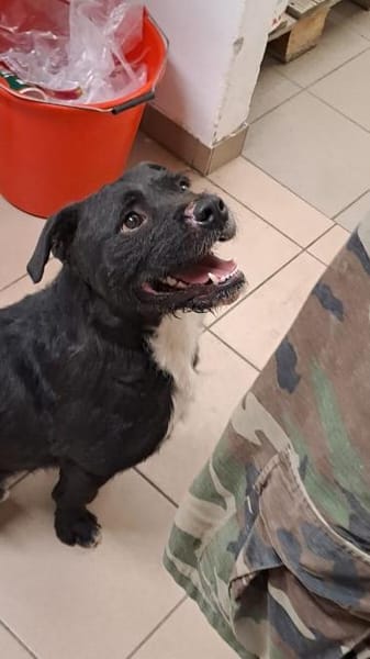 COCO - SUCHT ZUHAUSE