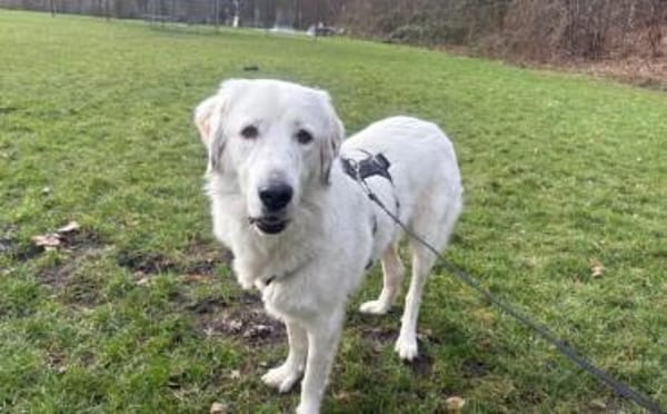 Hallo, ich bin Bahar & suche ein Zuhause