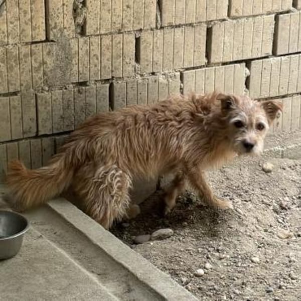 TEO-SUCHT EIN RUHIGES ZUHAUSE