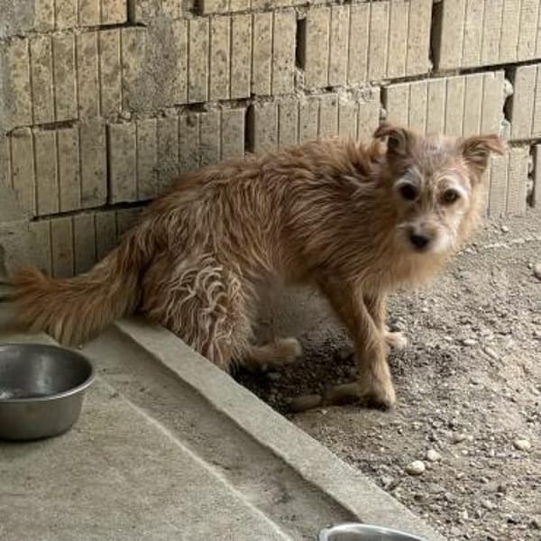 TEO-SUCHT EIN RUHIGES ZUHAUSE