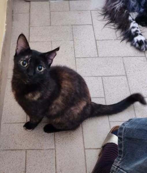 Nora sucht ihr Glück