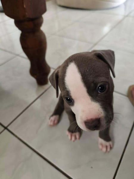 JENNY la tendre frimousse