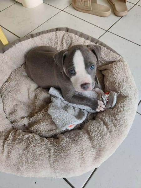 JENNY la tendre frimousse