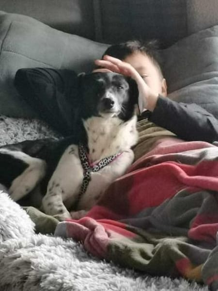 Liebevolle Nela sucht ihr Zuhause