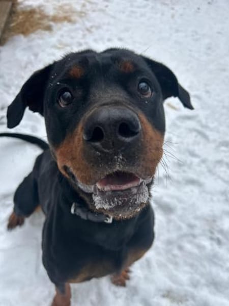 EMMA, sie möchte noch viel lernen