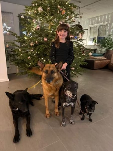 Schäferhündin Doro sucht ein Zuhause