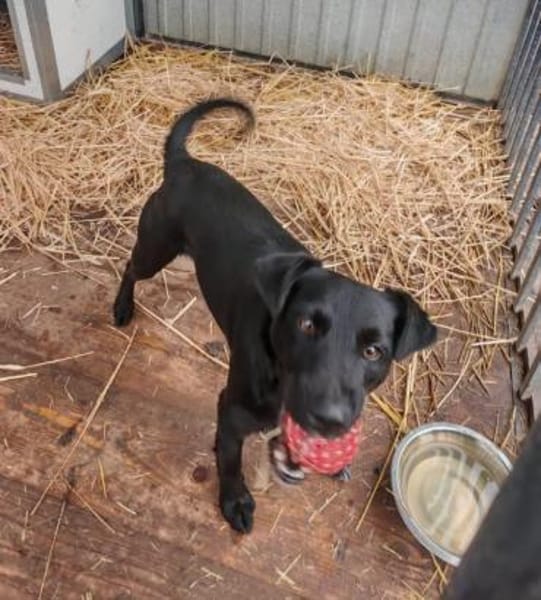 Fredo sprüht vor Lebensfreude