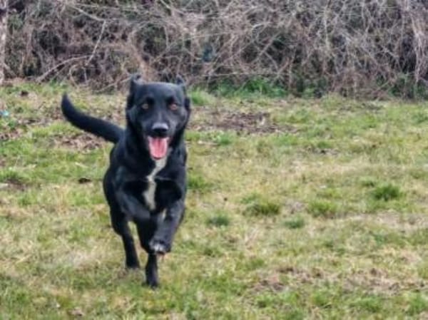 Fredo sprüht vor Lebensfreude