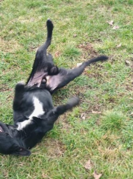 Fredo sprüht vor Lebensfreude