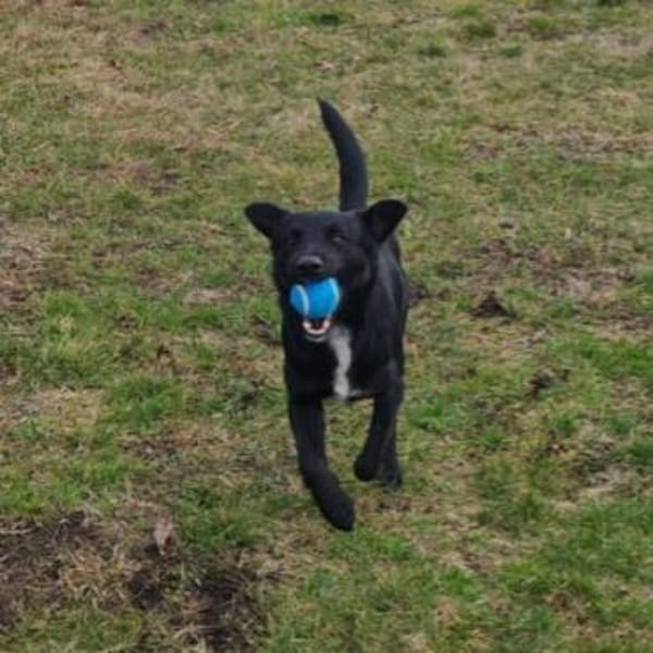 Fredo sprüht vor Lebensfreude