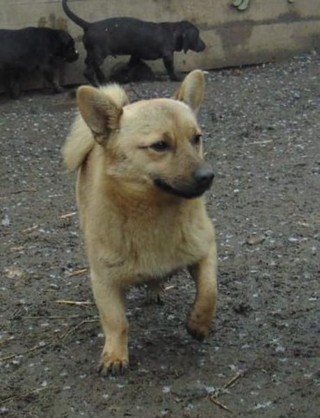 Tedy hatt keine guten Start