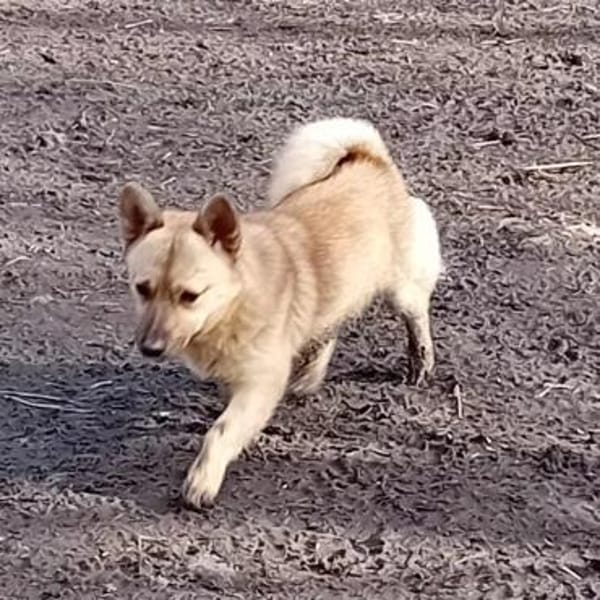 Tedy hatt keine guten Start